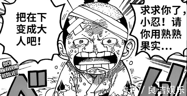 桃之助|海賊王1021話:熟熟果實等于拔苗助長?桃之助注定變成成年人!