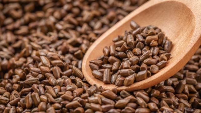 浊气|身体有浊气多,就会生病,1味中药,把浊气通通都排出去