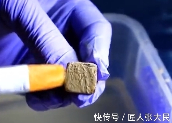 血渭一号墓&血渭一号墓中出土一枚“骆驼印”,可是旁边的印文,究竟写的是啥