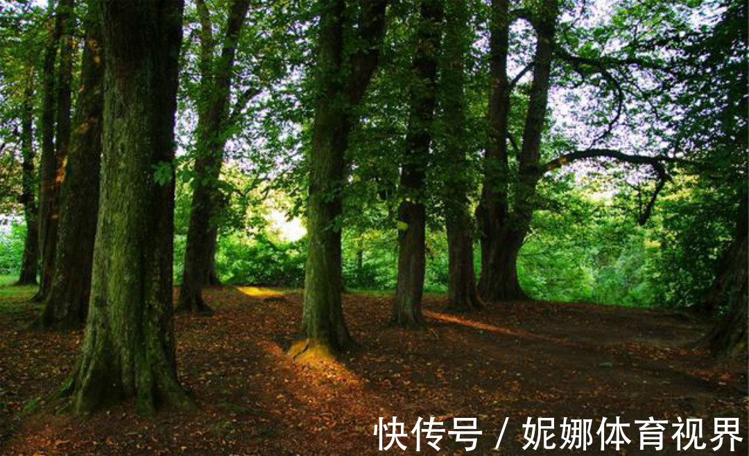 全唐诗&《全唐诗》里很有禅理的一首诗,每一句都是人生箴言,写得很深刻