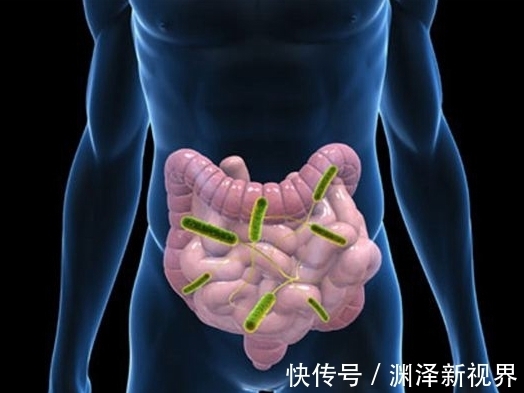 益生菌|吃抗生素后，肠道不适！每天喝一盒酸奶能缓解，还能调理过敏症