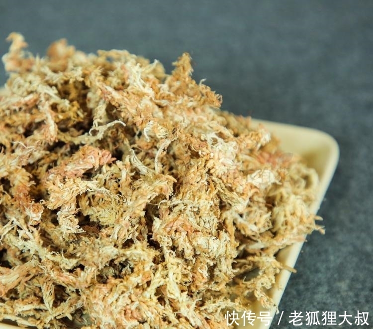 蝴蝶兰怎么养?抓住关键点,新手也能变老手