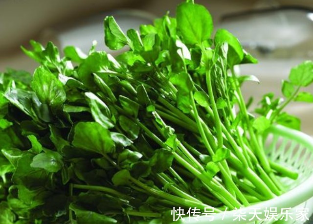 西洋菜|多给孩子吃此菜,补钙质,长个头,双眼明亮,肝脏越来越健康