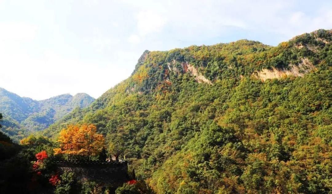 金丝峡|陕南的这座峡谷，藏着秋冬两季最梦幻的美景~