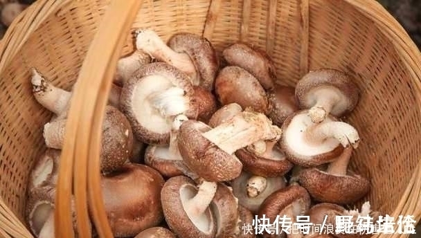 洗净|洗净香菇时,不要只用清水,厨师给你一水,让脏东西容易洗掉