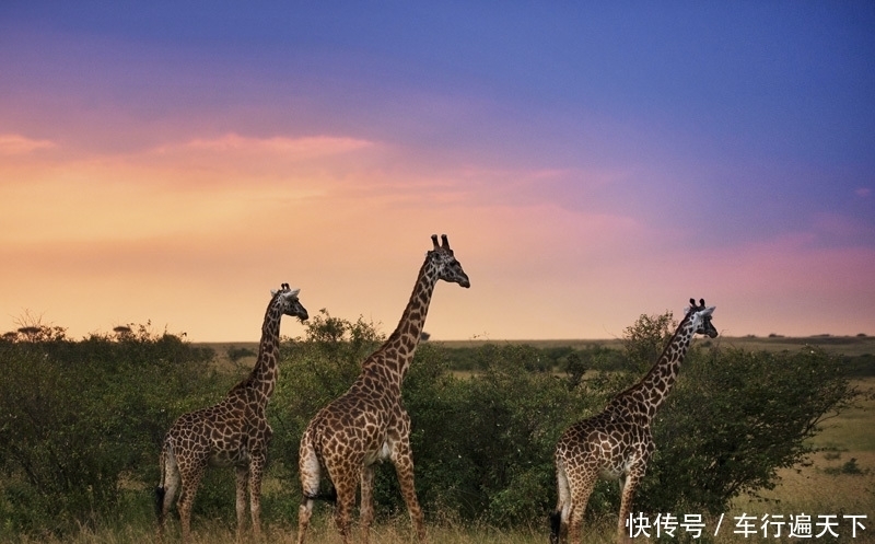 “地球最美疤痕”东非大裂谷沿线巡礼