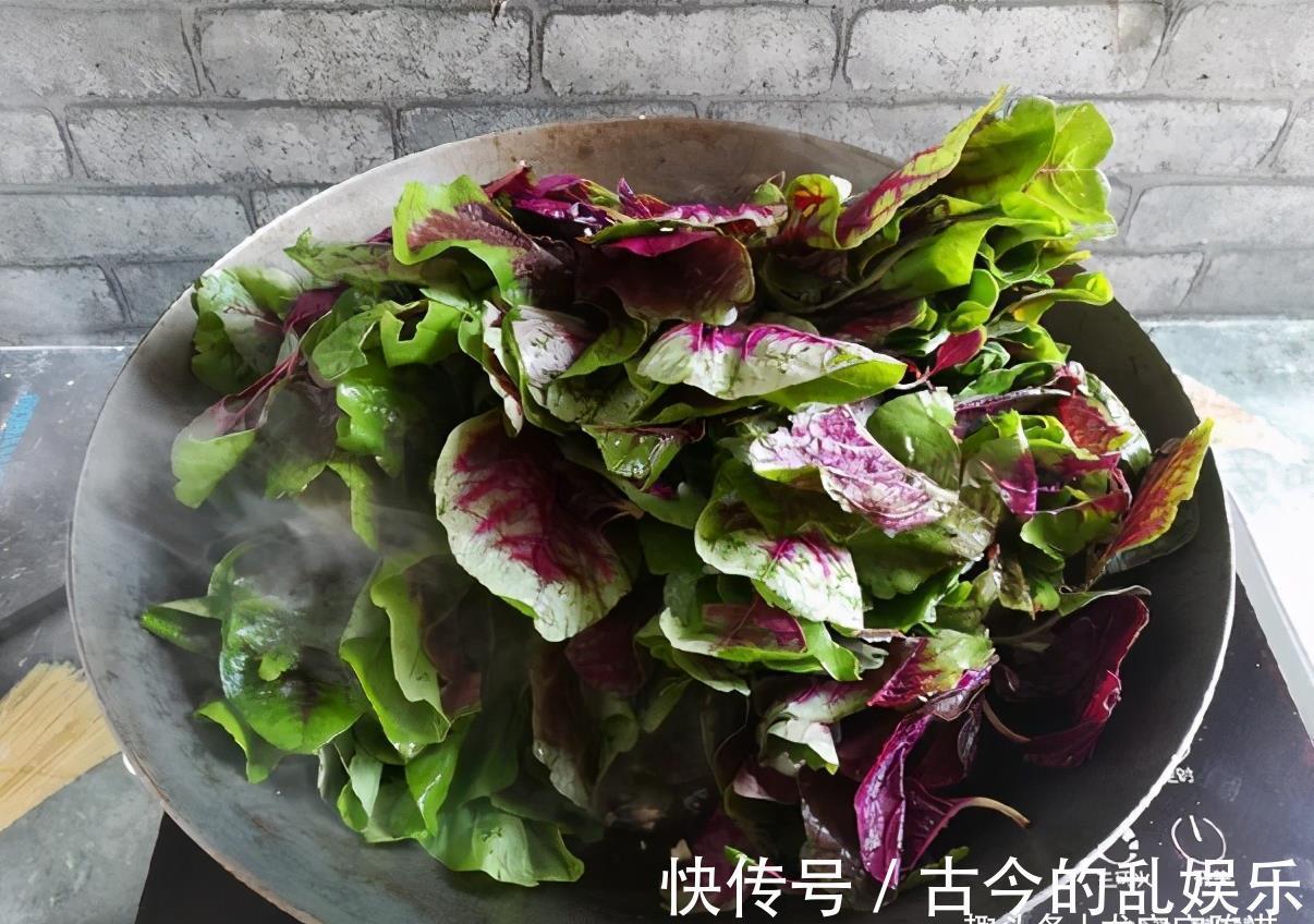 龙宝|夏天这菜金不换，汤汁泡饭营养美味，常吃可减肥轻身