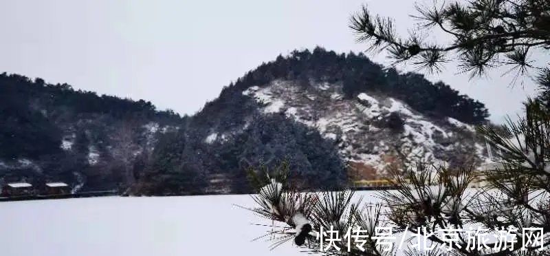 一夜之间|来啦！多图带你看紫禁城瑞雪，还有卖萌的熊猫、嬉戏的老虎~