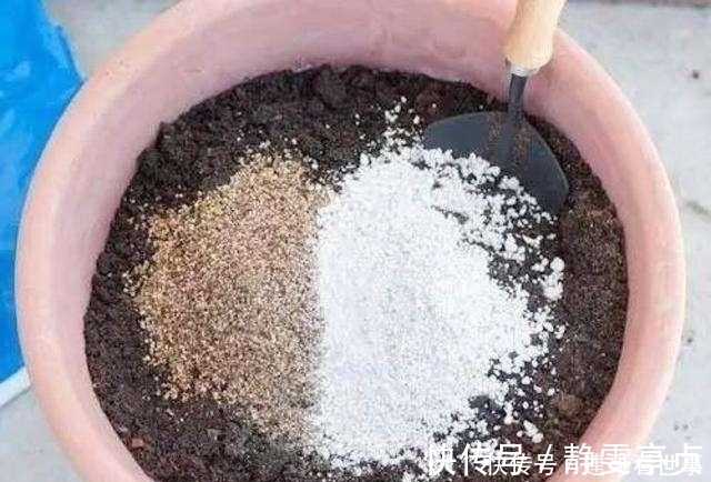 最不适合养花的几种土壤，千万不要用，否则黄叶烂根养不活