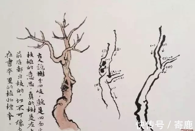 画树#国画教程|陆俨少树法