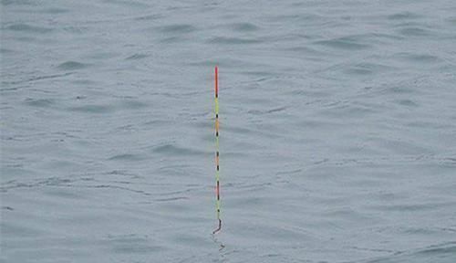 鲫鱼|手竿钓鲫鱼经常跑鱼,可以试着这样调整,让中鱼率飙升几倍