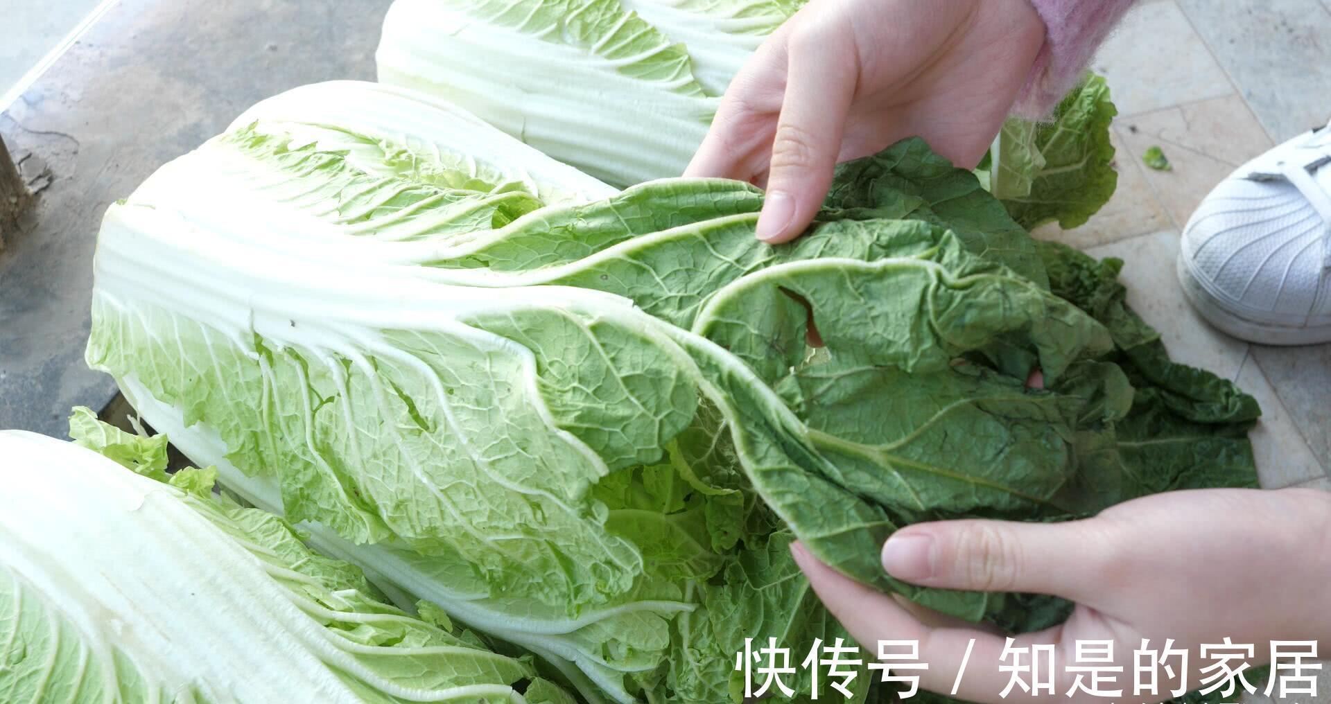 保存白菜其实很简单，教您2招，放半年照样新鲜，真的是太实用了
