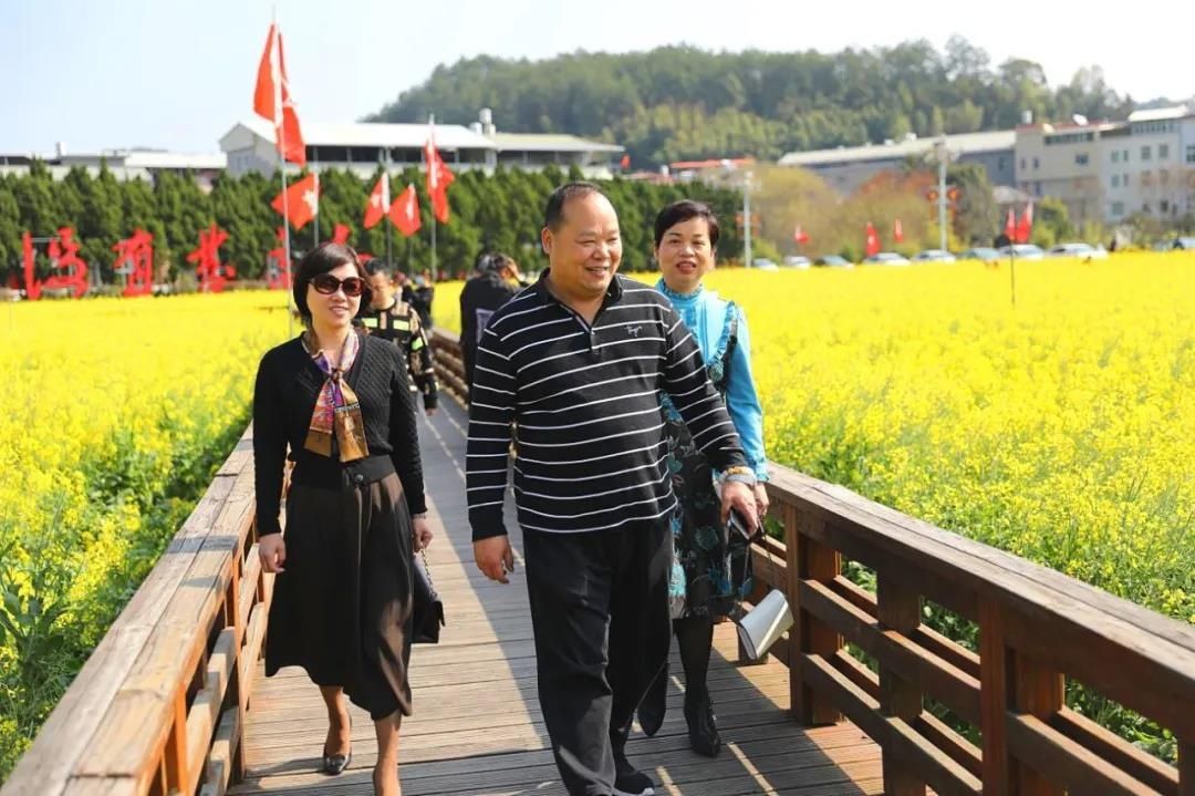 看龙岩这片新春花海，人面黄花相映红~