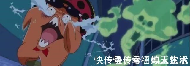 乔巴|可爱萌宠,海贼王中4只会说话的动物,乔巴赏金还是最低!