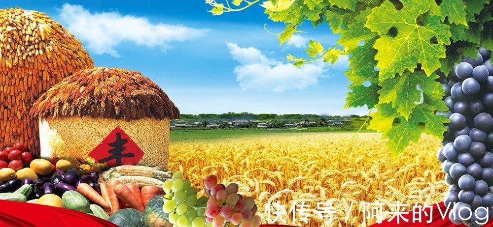 百合|俗話說冬吃蘿卜，夏吃姜，那您知道秋天吃什么食物是最好的嗎？