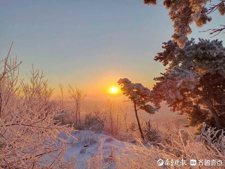 沂山|护林员镜头下的冬日沂山美翻了