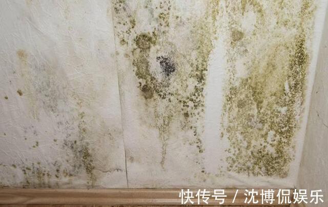 晾干|秋季墙面怎么保养3种常见“症状”,对症下药巧上家居美容课