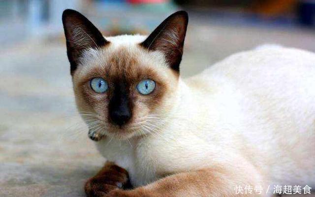 开元棋牌- 开元棋牌官网 - 开元棋牌APP下载鹦鹉最新资讯-快科技--科技改变未来