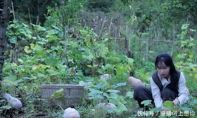 紫米|李子柒这几道菜,隔着屏幕都觉得香,怪不得播放3000多万