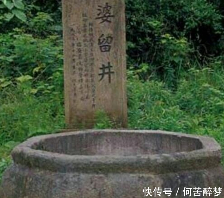 丑陋|此人因长得丑陋被父亲丢弃枯井，后被祖母救下，长大后称霸一方