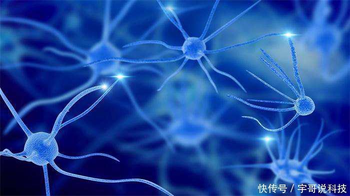 老人长寿的五大“标准”,拥有的越多越好,帮老人对比一下吧!