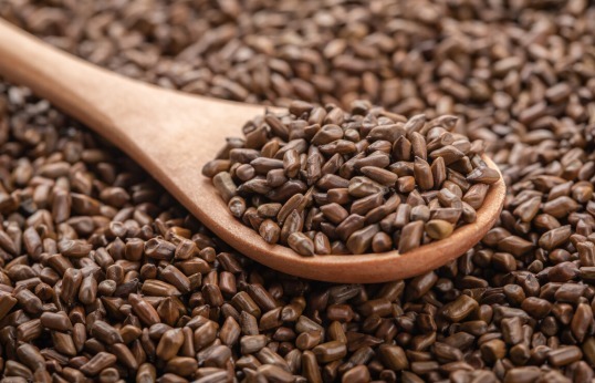 脑梗|61岁阿姨只吃素不吃肉突发脑梗?降脂2误区莫再犯,血脂稳吃3物