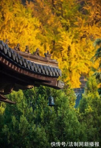度宗咸淳$诗僧笔下的秋天,不仅有最美的秋色,还有浓浓禅意,令人回味无穷