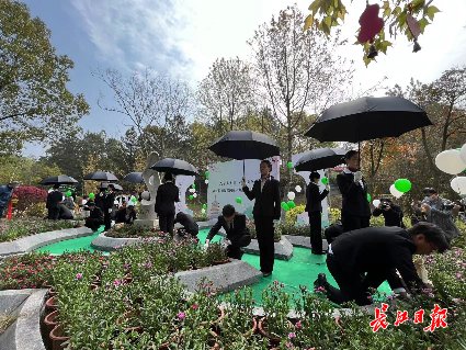 这家陵园连续8年举办免费集体生态葬