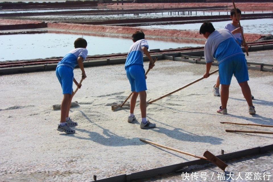 十几人|亚洲树王2300岁高龄，就在阿里山，需十几人才能合抱