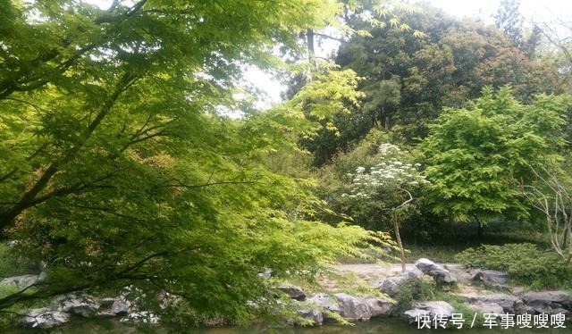 反用|《哀江南赋》到底是怀念故国还是谋求官职作者为何反用典故