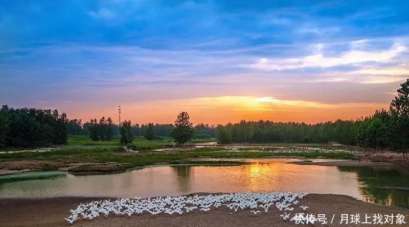 淮阳古运河(下):蔡河与惠民河漕运