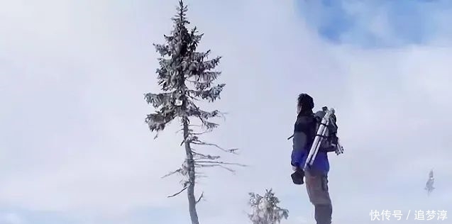 震撼！21棵不想“死”的树，这就是生命