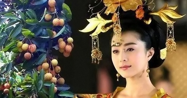 起因|解密唐玄宗沉沦之路,简析安史之乱起因,真的罪在杨贵妃吗?