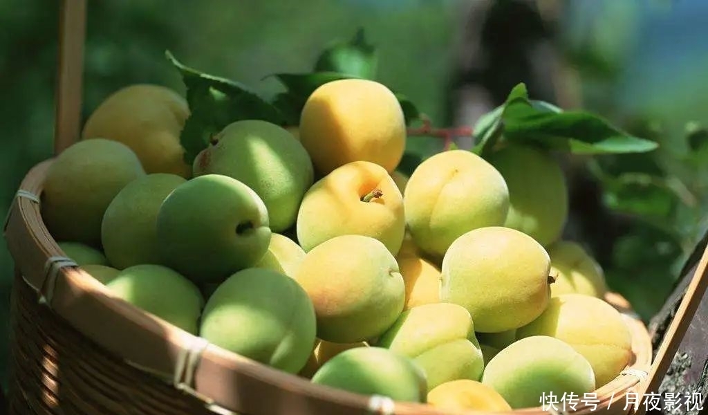  寓意|《诗经》里的这首小诗，为何暗合了千年之后宋代词人辛弃疾的心愿