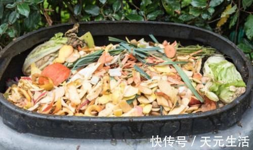 营养土不用花钱买,自己制作的“营养土”,养啥花都旺