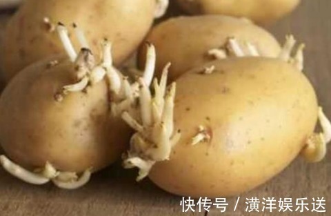 土豆发芽了没办法吃，但是却有大用处，别傻傻扔掉了