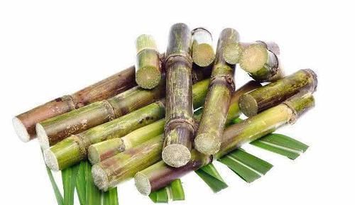 男性|前列腺炎总缠着你？别急，常吃这几样食物，助你远离炎症困扰