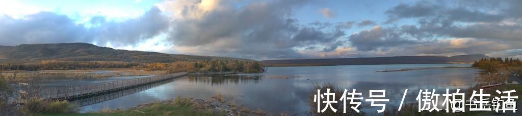 添加剂|钓鱼时常用的酒米窝料,其实是可以这样生产的,制作方法简单易学