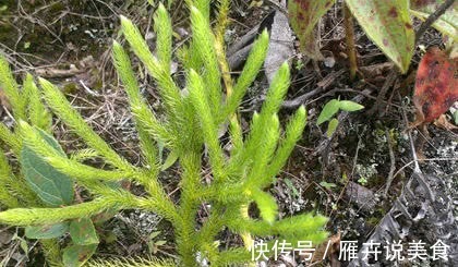 胡萝卜素|人到中年想长寿，多吃以下食物，排毒燃脂、促消化，增强体质！