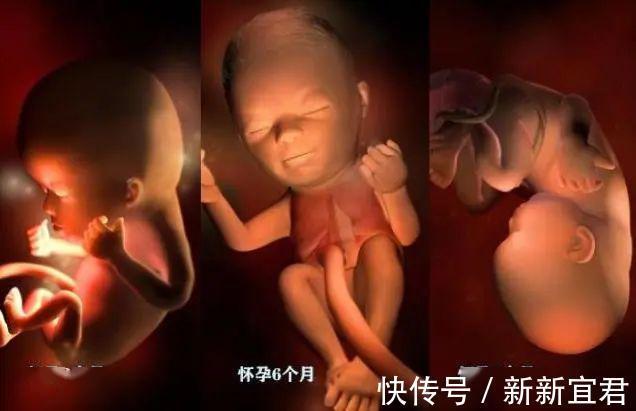 肚子|3个月,6个月,9个月,孕期这三个阶段有什么不同