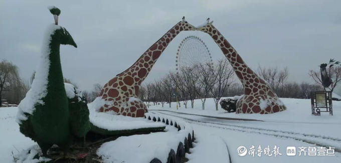 中年|泰山花海变雪中游乐园，踏雪寻梅正合时宜