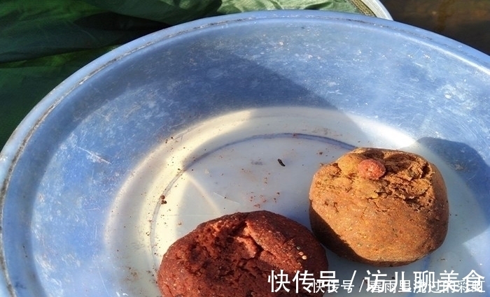 钓鱼|钓不好鲢鳙鱼,那就看看这些垂钓心得,对钓鱼帮助很大