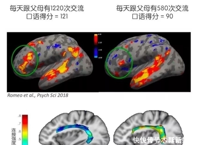 父母|孩子总是学习差,父母错过孩子大脑发育黄金期，却逼孩子加倍努力