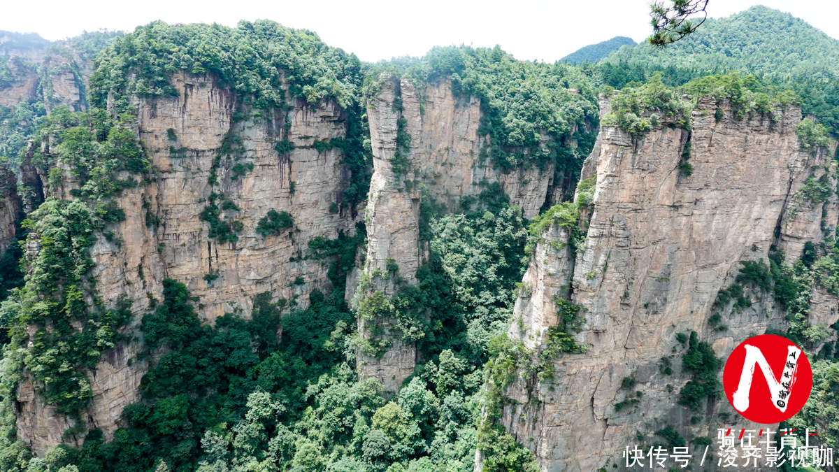 黄石寨|湖南最著名的景区，全是悬崖峭壁，门票235元还人挤人