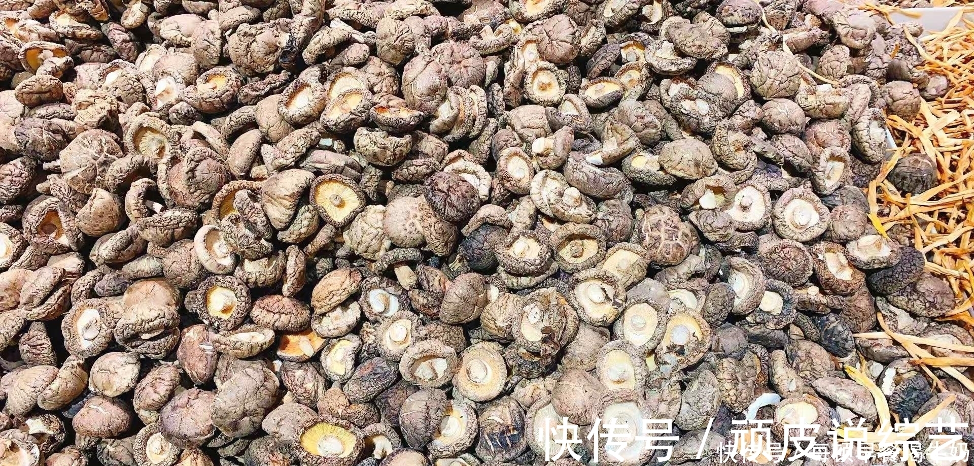 春节买年货，这5类要提前买，先存起来，不怕涨价，免得花冤枉钱