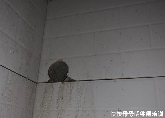 瓷砖|第一次装修没经验，瓷砖就踩中6个“坑”！真是一肚子泪！