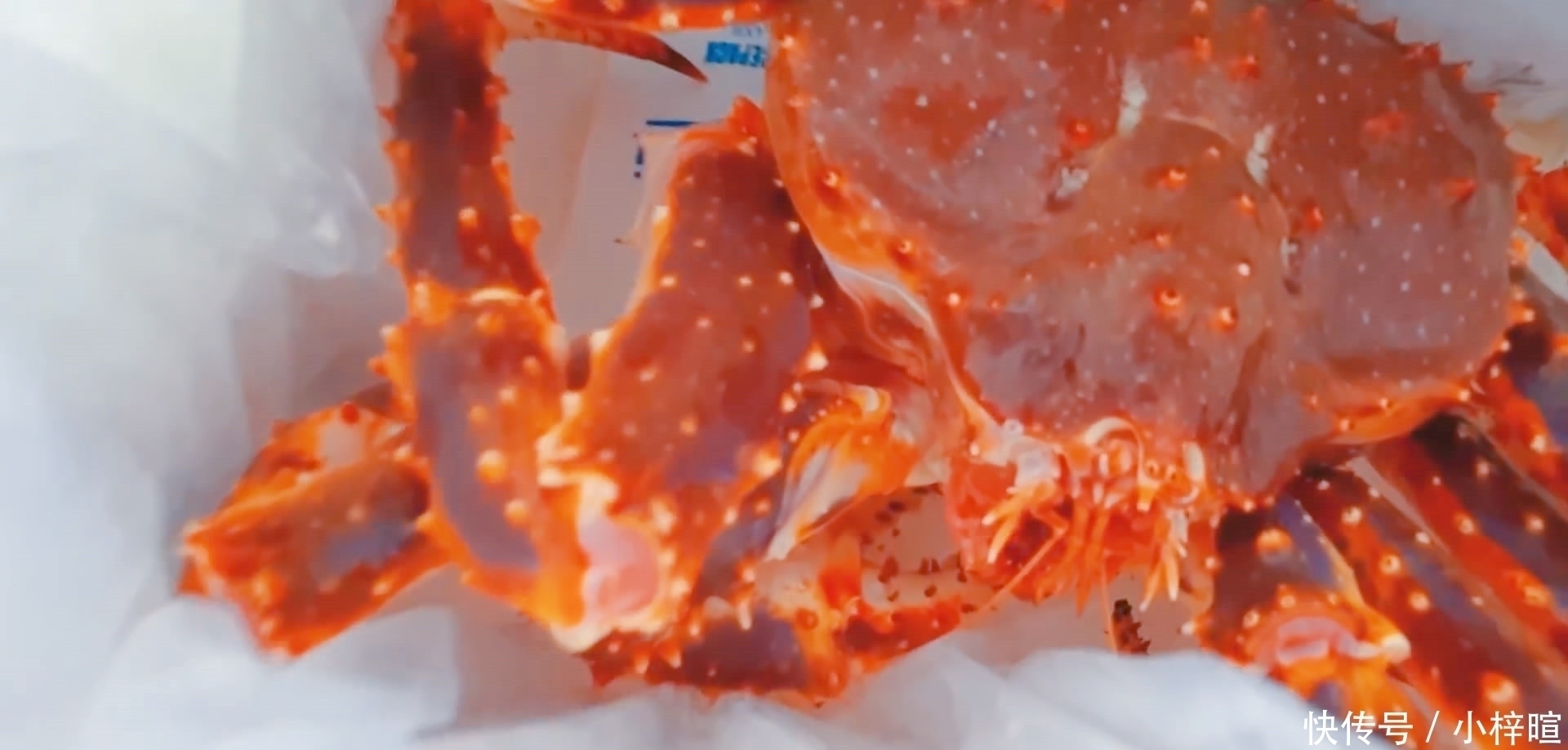 只帝王|花500元买了只4斤的帝王蟹，准备年夜饭吃，煮好掰开壳有点“懵”