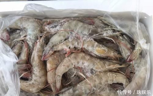 保存大虾时,直接放冰箱就错了老渔农教你一招,跟吃鲜虾一样