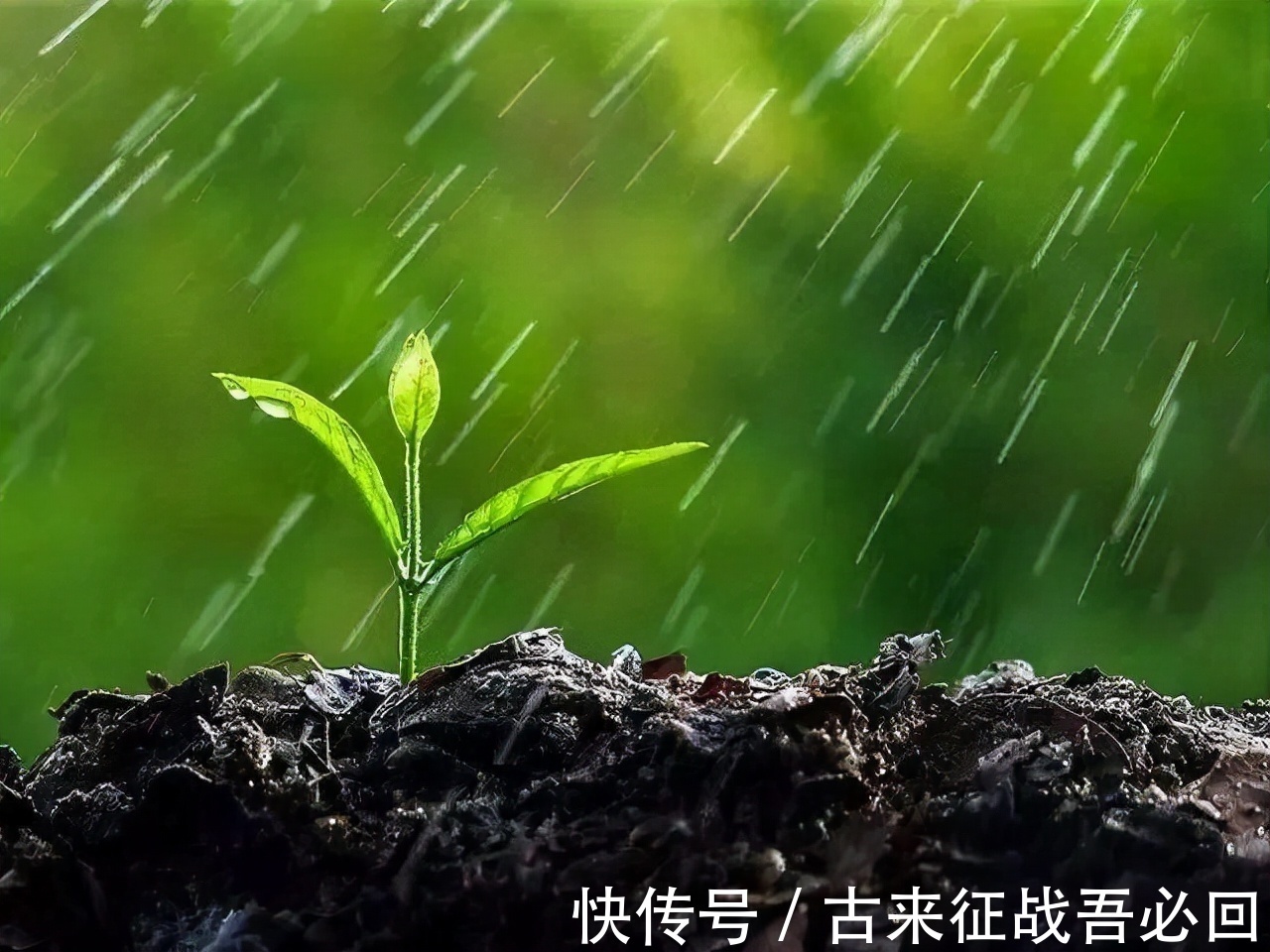 北市|朱熹问学生:为何叫“买东西”不是“买南北”?10岁小孩一语道破