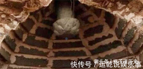 离骚!千年古墓被“大蛇”守护?至今没人敢靠近,专家冒险前往寻找答案